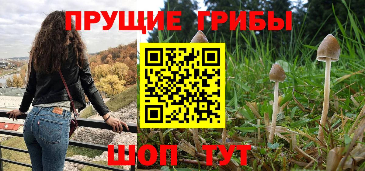 Псилоцибиновые грибы Magic Shrooms Зима