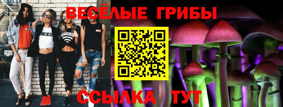 Галлюциногенные грибы GOLDEN TEACHER  Вход с VPN  Зима 